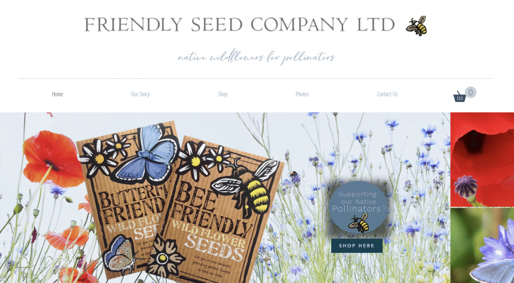 Bee Friendly Seeds - Homepage Website Redesign & Lead Generation