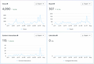 Social Media Management - instagram analytics