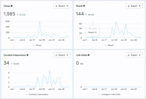 Social Media Management - instagram analytics