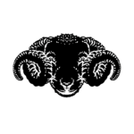 logo design for black sheep knitwear